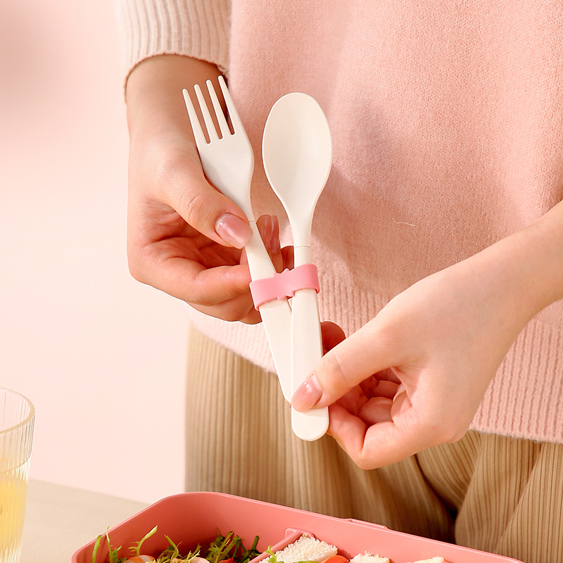 Portable Lunch Box Bamboo Fibe - مراجعة Bamboo Cutlery Set وسعره